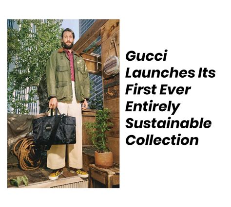 gucci sustainability and responsibility